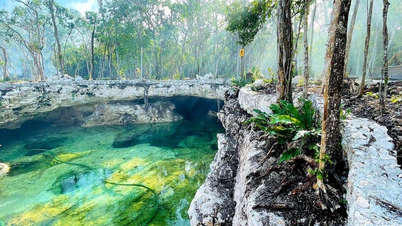 Tiny House En La Selva Con Cenote Natural Privado Tulum Exterior photo