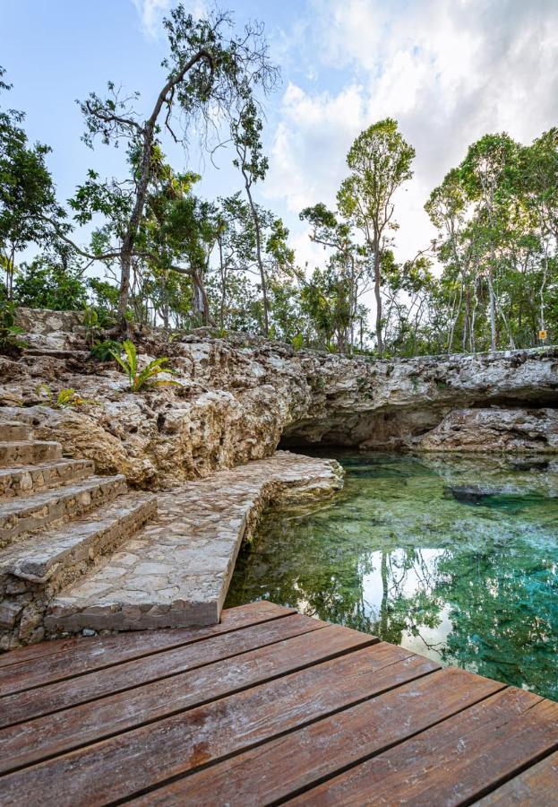 Tiny House En La Selva Con Cenote Natural Privado Tulum Exterior photo